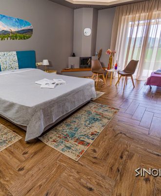 Sinoi 2-2