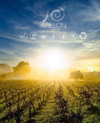 vineyards-sunrise